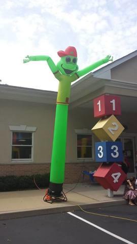 Sky Flyers Frog Sky Flyers Frog