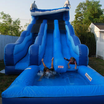 Dolphin Rip N Dip 2 LANES WITH POOl #WS12 Dolphin Rip N Dip 2 LANES WITH POOl #WS12